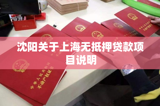 沈阳关于上海无抵押贷款项目说明 沈阳关于上海无抵押贷款项目说明