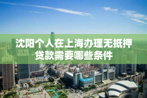 沈阳个人在上海办理无抵押贷款需要哪些条件