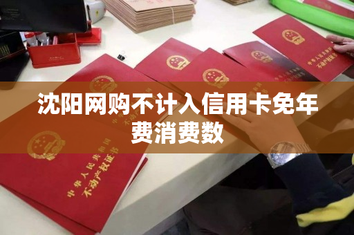 沈阳网购不计入信用卡免年费消费数 沈阳网购不计入信用卡免年费消费数
