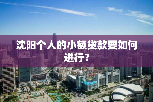 沈阳个人的小额贷款要如何进行？