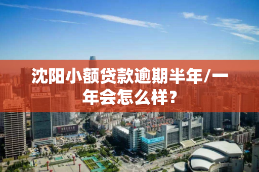 沈阳小额贷款逾期半年/一年会怎么样? 沈阳小额贷款逾期半年/一年会怎么样?