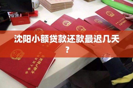 沈阳小额贷款还款最迟几天？