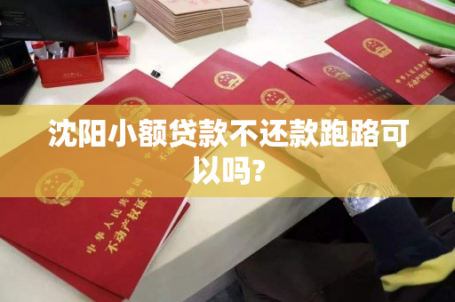 沈阳小额贷款不还款跑路可以吗? 沈阳小额贷款不还款跑路可以吗?