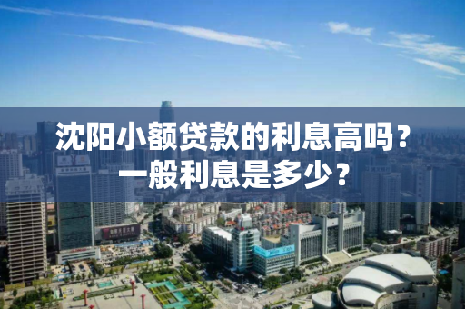 沈阳小额贷款的利息高吗？一般利息是多少？