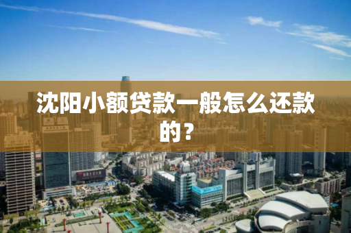 沈阳小额贷款一般怎么还款的？