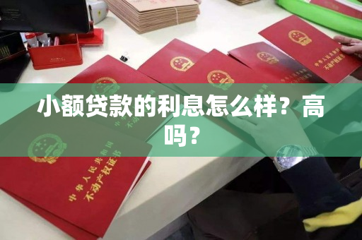 小额贷款的利息怎么样？高吗？