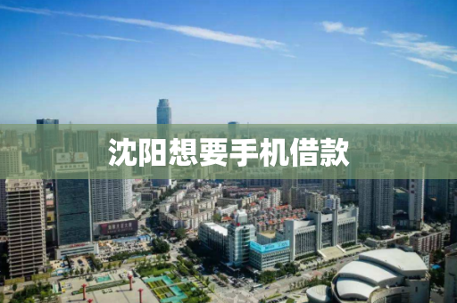 沈阳想要手机借款