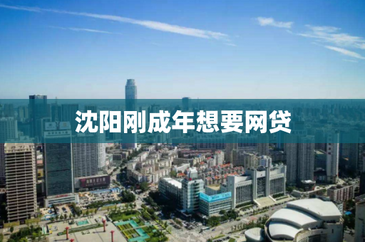 沈阳刚成年想要网贷 沈阳刚成年想要网贷