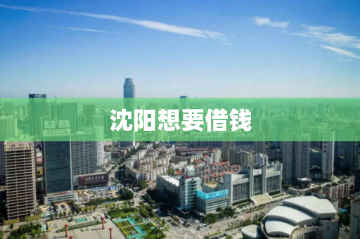 沈阳想要借钱 沈阳想要借钱