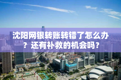 沈阳网银转账转错了怎么办?还有补救的机会吗? 沈阳网银转账转错了怎么办?还有补救的机会吗?