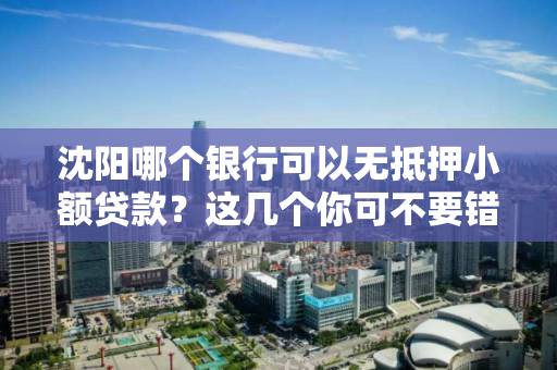 沈阳哪个银行可以无抵押小额贷款？这几个你可不要错过