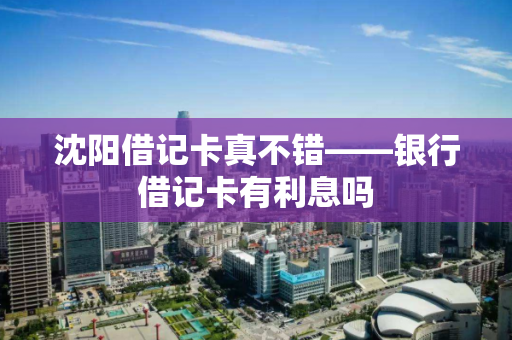 沈阳借记卡真不错——银行借记卡有利息吗 沈阳借记卡真不错——银行借记卡有利息吗
