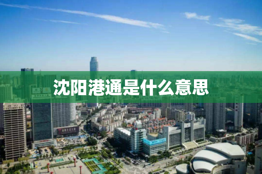 沈阳港通是什么意思