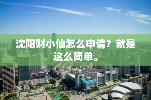 沈阳财小仙怎么申请?就是这么简单。 沈阳财小仙怎么申请?就是这么简单。