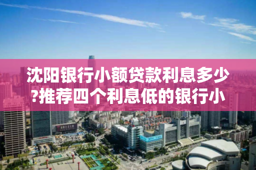 沈阳银行小额贷款利息多少?推荐四个利息低的银行小额贷款