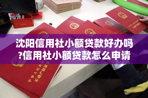 沈阳信用社小额贷款好办吗?信用社小额贷款怎么申请?