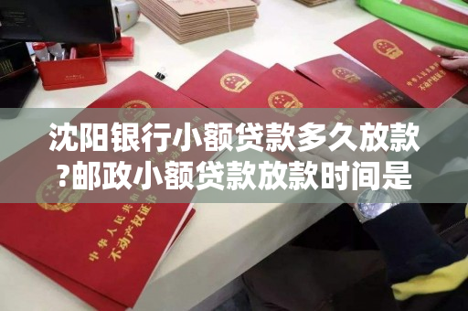 沈阳银行小额贷款多久放款?邮政小额贷款放款时间是多长?