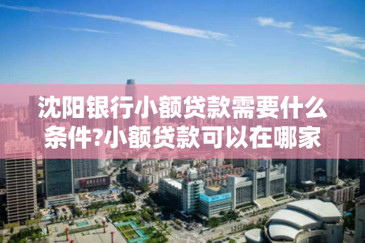 沈阳银行小额贷款需要什么条件?小额贷款可以在哪家银行贷款?