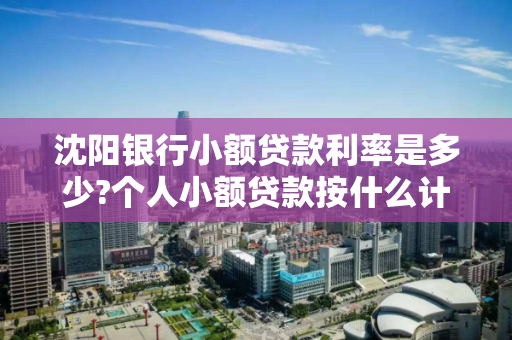 沈阳银行小额贷款利率是多少?个人小额贷款按什么计算划算?