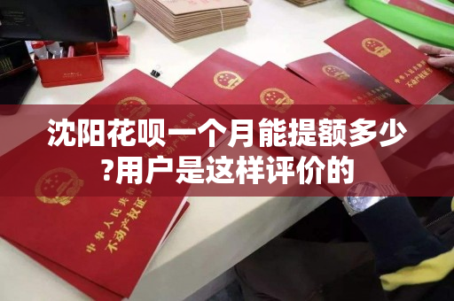 沈阳花呗一个月能提额多少?用户是这样评价的 沈阳花呗一个月能提额多少?用户是这样评价的