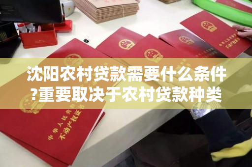 沈阳农村贷款需要什么条件?重要取决于农村贷款种类 沈阳农村贷款需要什么条件?重要取决于农村贷款种类