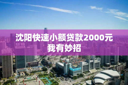 沈阳快速小额贷款2000元我有妙招