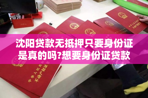 沈阳贷款无抵押只要身份证是真的吗?想要身份证贷款的网友看过来