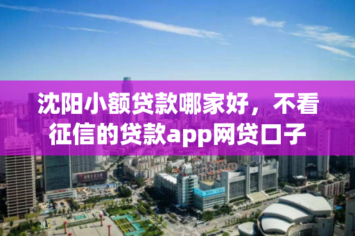 沈阳小额贷款哪家好，不看征信的贷款app网贷口子