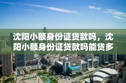 沈阳小额身份证贷款吗，沈阳小额身份证贷款吗能贷多少