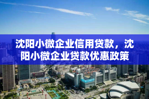 沈阳小微企业信用贷款，沈阳小微企业贷款优惠政策