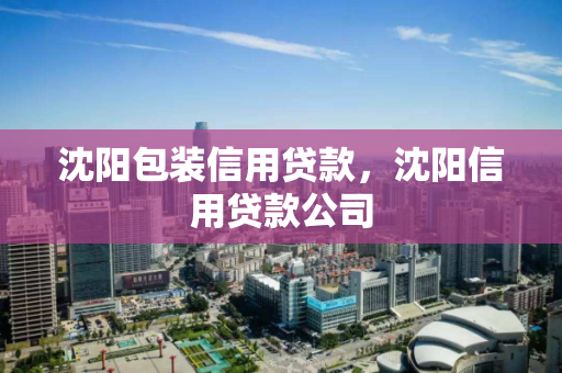 沈阳包装信用贷款，沈阳信用贷款公司