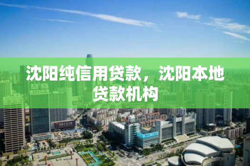 沈阳纯信用贷款，沈阳本地贷款机构