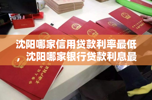 沈阳哪家信用贷款利率最低，沈阳哪家银行贷款利息最低