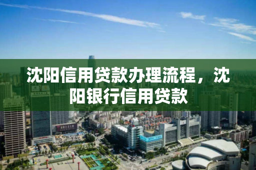 沈阳信用贷款办理流程，沈阳银行信用贷款