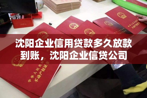 沈阳企业信用贷款多久放款到账，沈阳企业信贷公司