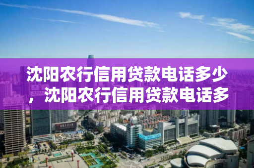 沈阳农行信用贷款电话多少，沈阳农行信用贷款电话多少号