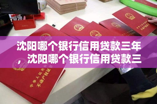 沈阳哪个银行信用贷款三年，沈阳哪个银行信用贷款三年利息低