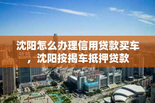 沈阳怎么办理信用贷款买车，沈阳按揭车抵押贷款