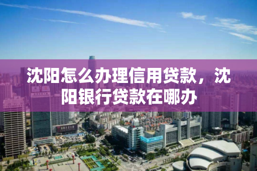沈阳怎么办理信用贷款，沈阳银行贷款在哪办