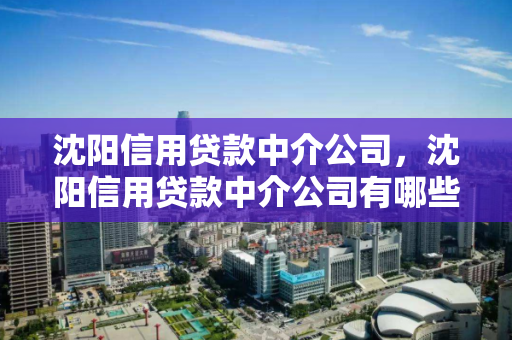 沈阳信用贷款中介公司，沈阳信用贷款中介公司有哪些