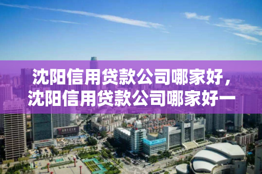 沈阳信用贷款公司哪家好，沈阳信用贷款公司哪家好一点