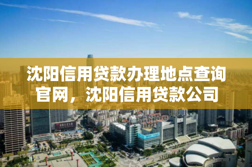 沈阳信用贷款办理地点查询官网，沈阳信用贷款公司