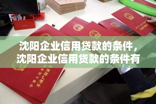 沈阳企业信用贷款的条件，沈阳企业信用贷款的条件有哪些