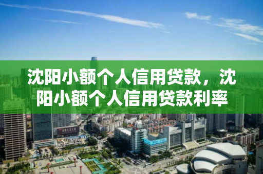 沈阳小额个人信用贷款，沈阳小额个人信用贷款利率