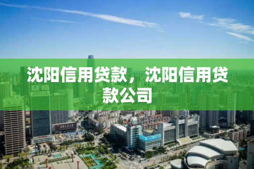 沈阳信用贷款，沈阳信用贷款公司