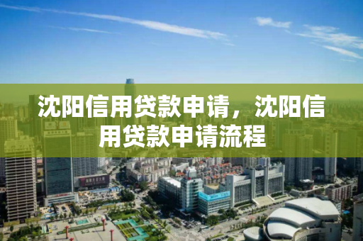 沈阳信用贷款申请，沈阳信用贷款申请流程