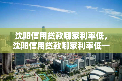 沈阳信用贷款哪家利率低，沈阳信用贷款哪家利率低一点