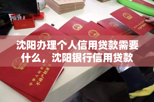 沈阳办理个人信用贷款需要什么，沈阳银行信用贷款