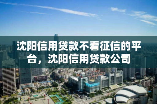 沈阳信用贷款不看征信的平台，沈阳信用贷款公司