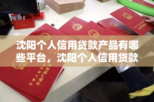 沈阳个人信用贷款产品有哪些平台,沈阳个人信用贷款产品有哪些平台公司 沈阳个人信用贷款产品有哪些平台,沈阳个人信用贷款产品有哪些平台公司